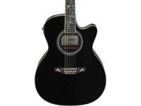 Ibanez AC391RCE-BKH Ibanez AC391RCE-BKH
